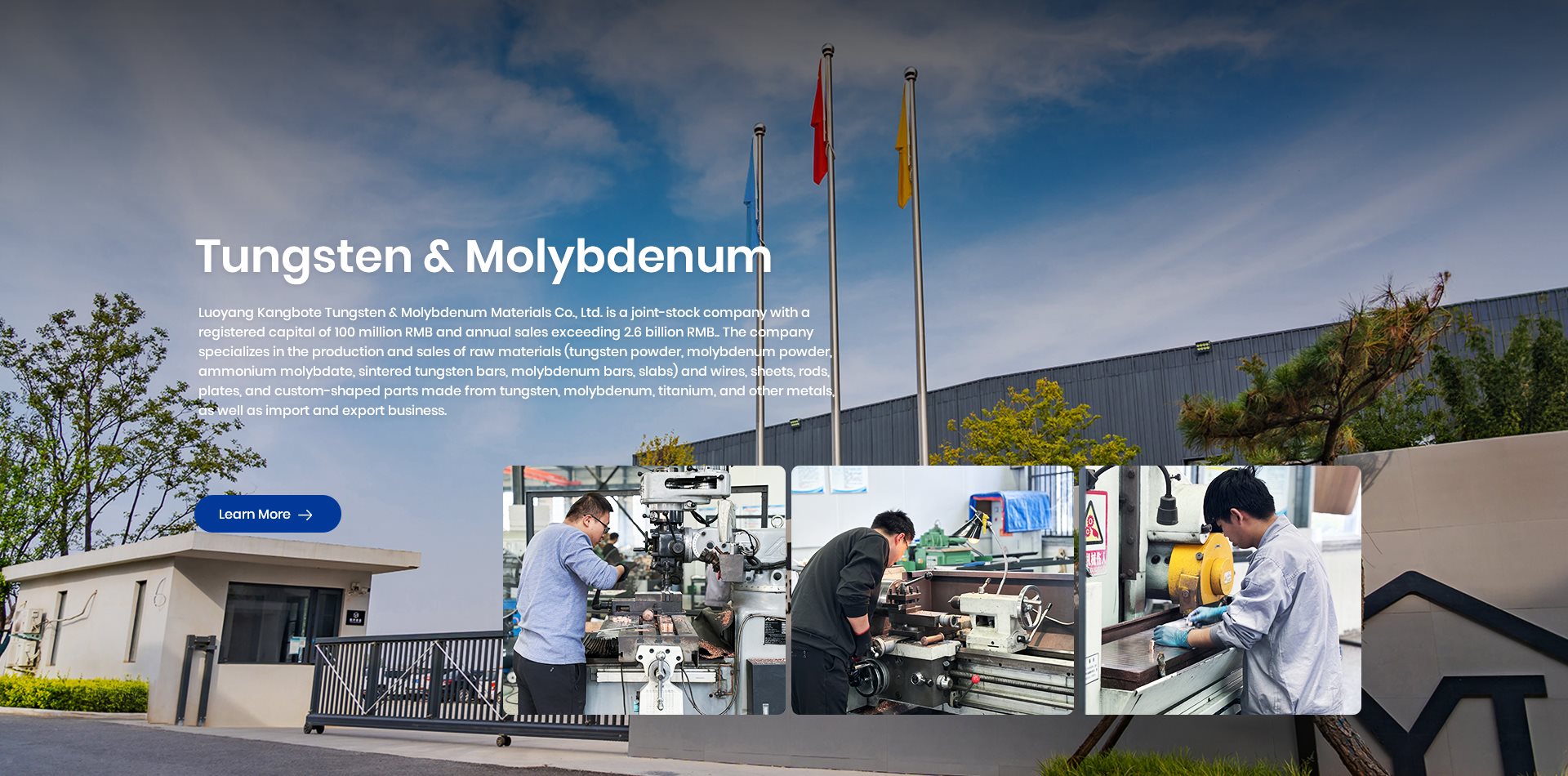 Luoyang Combat Tungsten & Molybdenum Material Co., Ltd.